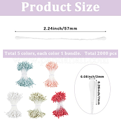 5 Bundles 5 Colors Gypsum with Cotton Cord Artificial Flower Core&nbsp;DIY-GF0014-07B