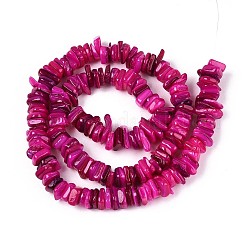 Natural Freshwater Shell Beads Strands&nbsp;SHEL-T020-40A