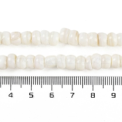 Natural Freshwater Shell  Beads Strands&nbsp;BSHE-H109-07