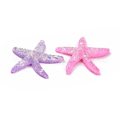 Opaque Resin Cabochons&nbsp;CRES-S304-53