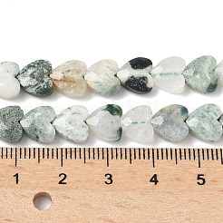 Natural Tree Agate Beads Strands&nbsp;G-D316-B07