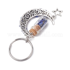 5Pcs 5 Styles Natural Lapis Lazuli & Red Jasper & Amazonite & Tiger Eye & White Moonstone Keychain&nbsp;KEYC-JKC00947