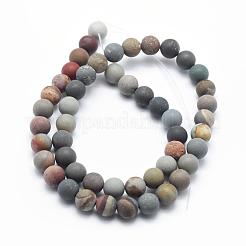 Natural Ocean Agate/Ocean Jasper Beads Strands&nbsp;G-G716-02-6mm