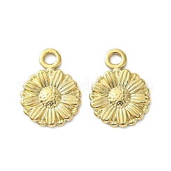 304 Stainless Steel Charms&nbsp;STAS-L269-056G