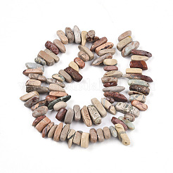 Natural Aqua Terra Jasper Beads Strands&nbsp;G-T140-64