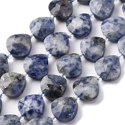 Natural Blue Spot Jasper Beads Strands&nbsp;G-P570-E19-02
