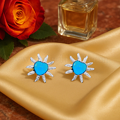 2Pairs 2 Colors Stainless Steel Stud Earrings&nbsp;EJEW-HY0001-46B