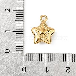 304 Stainless Steel Charms&nbsp;STAS-F327-03C-G