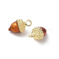 Alloy Enamel Charms&nbsp;X-FIND-C074-02A