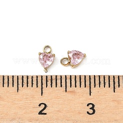 304 Stainless Steel Charms&nbsp;STAS-C134-30G