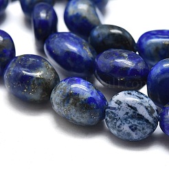 Natural Lapis Lazuli Beads Strands&nbsp;X-G-O186-B-17