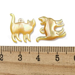 Natural Yellow Shell Pendants&nbsp;SSHEL-N038-05A-02