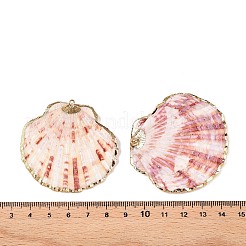Natural Scallop Shell Big Pendants&nbsp;SSHEL-N038-12