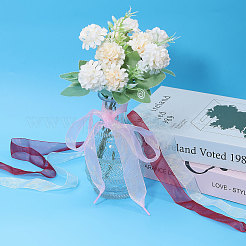 16 Pairs 16 Colors Organza Shoelaces&nbsp;AJEW-GL0002-40