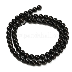 Natural Glaucophane Beads Strands&nbsp;G-L642-B03-6mm