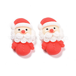 Resin Cabochons&nbsp;CRES-D004-07