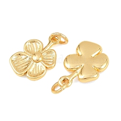 Brass Charms&nbsp;KK-F927-28G