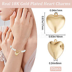 30Pcs 316 Surgical Stainless Steel Pendants&nbsp;STAS-BBC0006-28