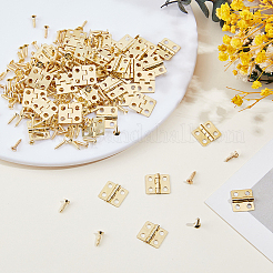 50 Bags Iron Hinges&nbsp;FIND-GF0009-81G