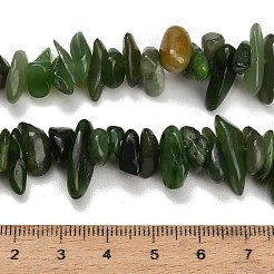 Natural Canadian Jade Beads Strands&nbsp;GG-CBAC61B-C07-01
