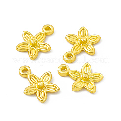 Rack Plating Alloy Charms&nbsp;FIND-G045-05MG