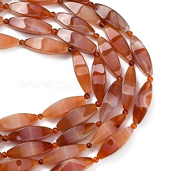 Natural Red Agate Beads Strands&nbsp;G-B178-R01-01