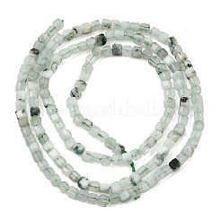 Natural Tree Agate Beads Strands&nbsp;GG-CBA0C5B-A01