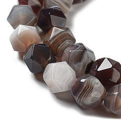 Natural Botswana Agate Beads Strands&nbsp;G-NH0002-C01-03