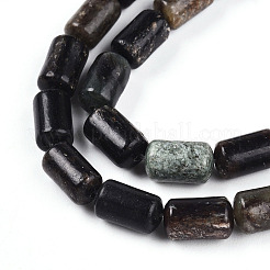 Natural Biotite Beads Strands&nbsp;G-N346-01B-02