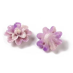 Synthetic Shell Dyed Beads&nbsp;SHEL-C006-01C