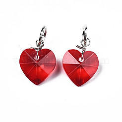 Faceted Transparent Glass Charms&nbsp;GLAA-T024-04I