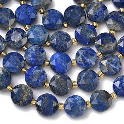 Natural Lapis Lazuli Beads Strands&nbsp;G-C116-A190-01