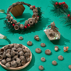 200Pcs Wood Acorn for Display Decorations&nbsp;AJEW-PH0008-19