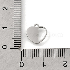 304 Stainless Steel Charms&nbsp;STAS-S178-02P