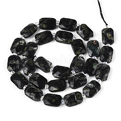 Natural Kambaba Jasper Beads Strands&nbsp;G-T139-82