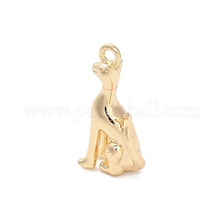 Brass Pendants&nbsp;LS-KK-D427-04A-G