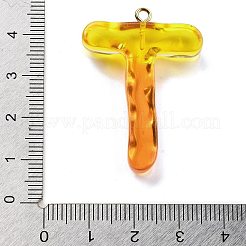 Resin Pendant&nbsp;FIND-Q107-01T-02