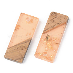 Transparent Resin & Walnut Wood Pendants&nbsp;RESI-S389-059A-B04