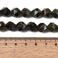 Natural Dragon Blood Beads Strands&nbsp;G-Z119-A17-03