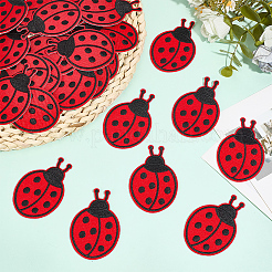 30Pcs Ladybug Computerized Embroidery Polyester Iron on/Sew on Patches&nbsp;PATC-CY0001-56