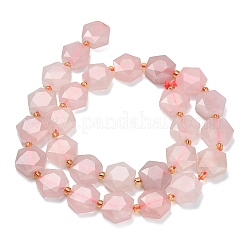 Natural Rose Quartz Beads Strands&nbsp;G-L660-A04-01