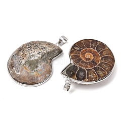 Snail Fossil Pendants&nbsp;G-D051-1A