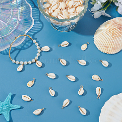 120Pcs Natural Cowrie Shell Pendants&nbsp;PALLOY-ME00017
