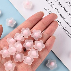 Transparent Acrylic Beads&nbsp;TACR-S152-09C-08