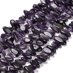 Natural Amethyst Beads Strands&nbsp;G-C253-05