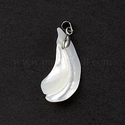 Natural Trochid Shell/Trochus Shell Pendants&nbsp;SSHEL-M021-13