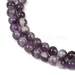 Natural Amethyst Beads Strands&nbsp;G-M445-6mm-01E
