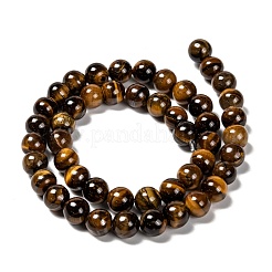 Grade AB Natural Tiger Eye Round Beads Strands&nbsp;G-E334-8mm-17
