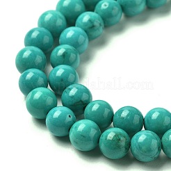 Natural Magnesite Round Beads Strands&nbsp;TURQ-G148-03-6mm