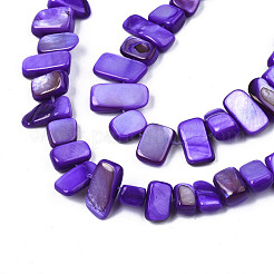 Natural Trochid Shell/Trochus Shell Beads Strands&nbsp;SHEL-S258-082-B02